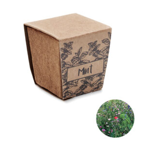 MINT KIT Menta ültetőkészlet