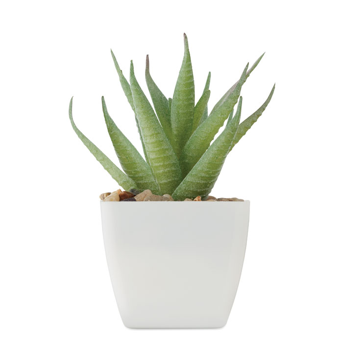 ARTILOE Mini műnövény, aloe ferox mill