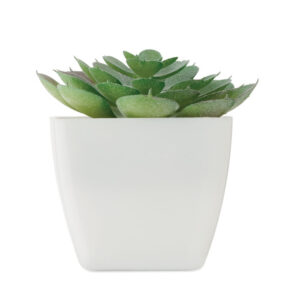 ARTIECHE Mini műnövény, echeveria